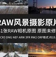 91麻豆网站在线观看-色情内容的观察与思考，正视网络道德的重要性