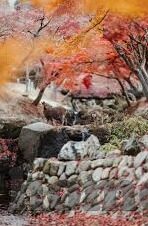 名优写真一区二区在线-探索网络文化的多元视角，名优写真一区二区的在线魅力